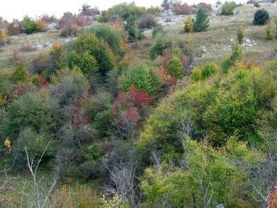 Прикрепленное изображение: DSCF5822.jpg